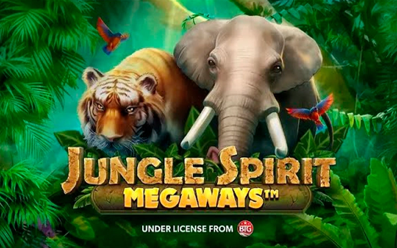 Get big wins playing Jungle Spirit with 96in.